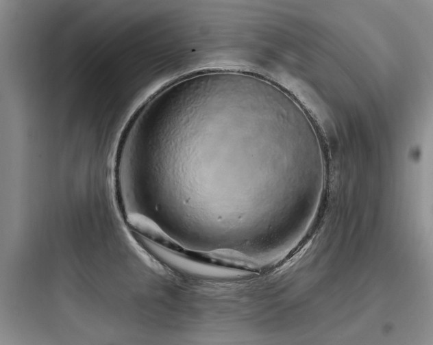 X0000097971237200803241227