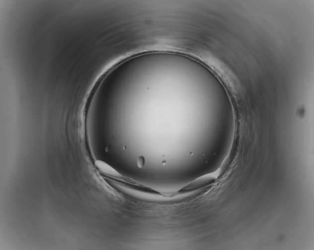 X0000097971238200803241227