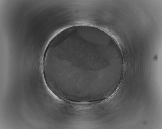 X0000097971239200803241227