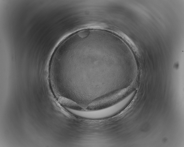 X0000097971240200803241227