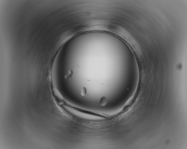 X0000097971241200803241227