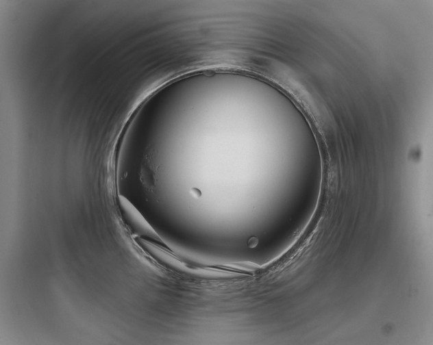 X0000097971242200803241227