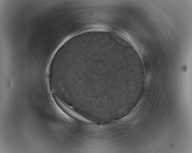 X0000097971243200803241227