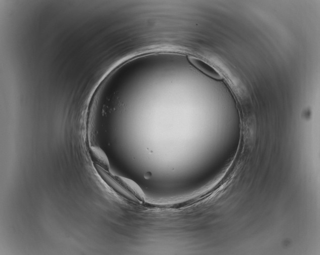 X0000097971244200803241227