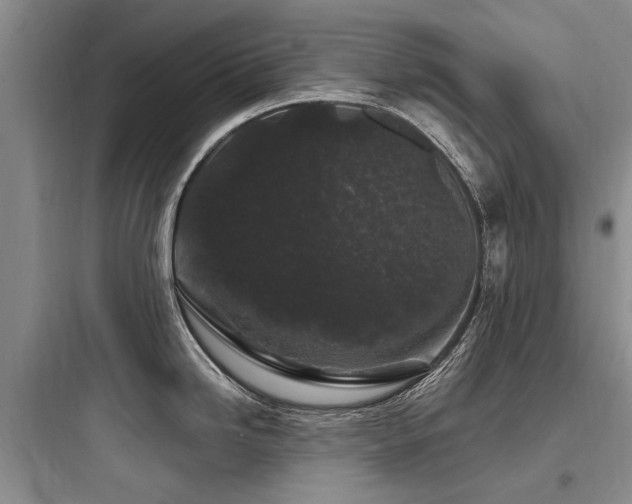 X0000097971246200803241227