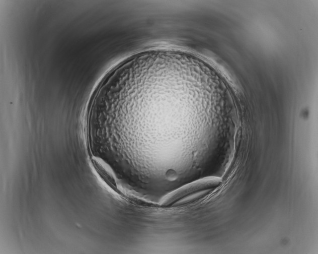 X0000097971247200803241227