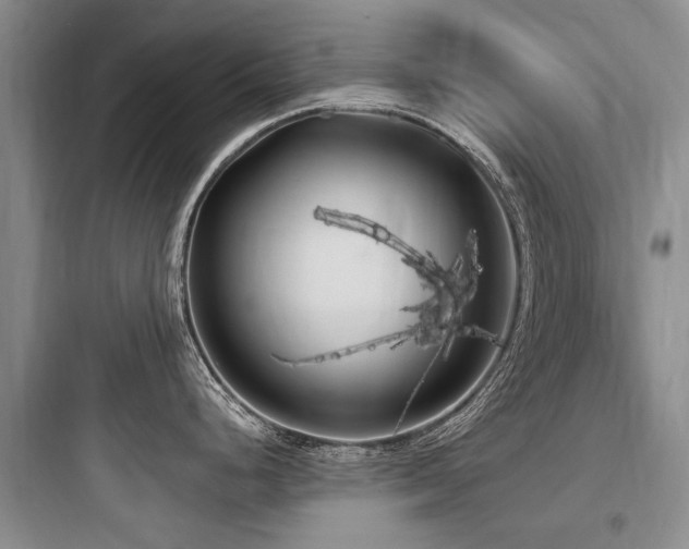 X0000097971248200803241227