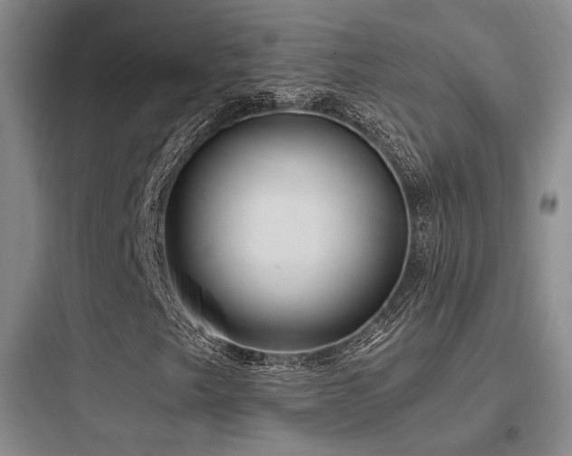 X0000097971249200803241226