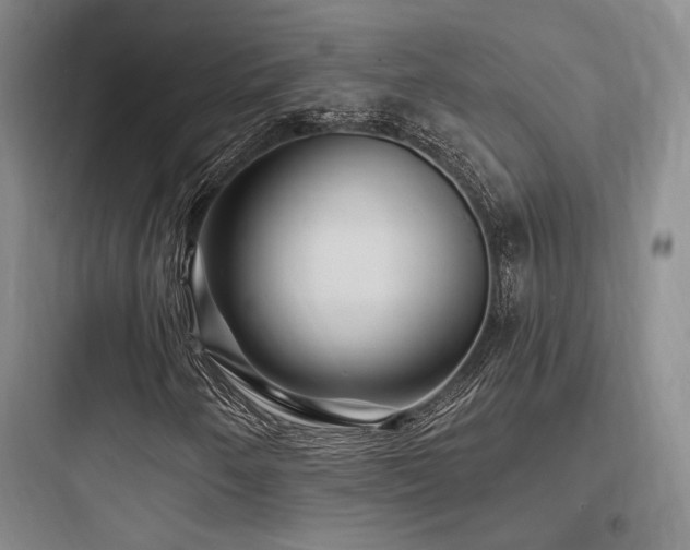 X0000097971250200803241226