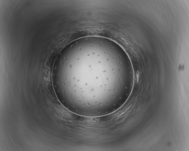 X0000097971251200803241226