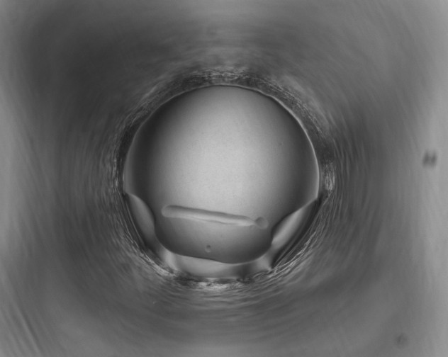 X0000097971252200803241226