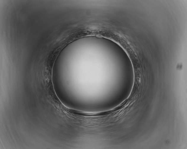 X0000097971253200803241226