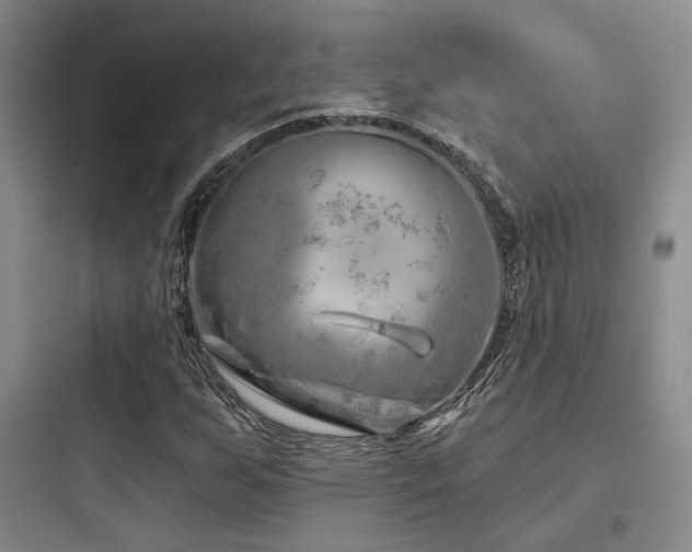 X0000097971255200803241226