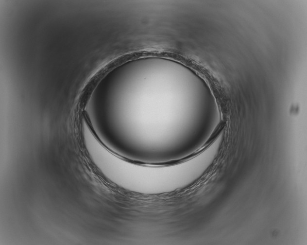 X0000097971256200803241226