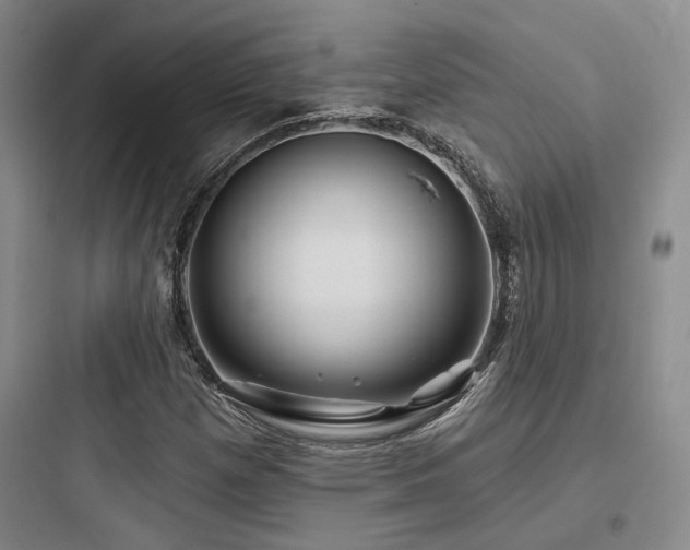 X0000097971257200803241226