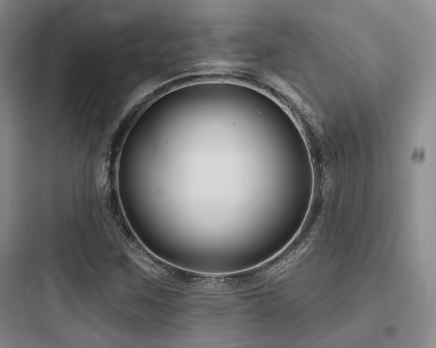 X0000097971259200803241226