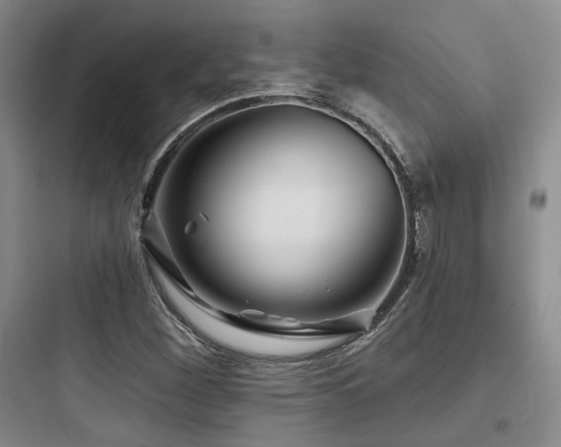 X0000097971260200803241226