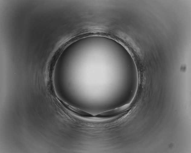 X0000097971261200803241226