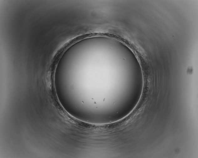 X0000097971262200803241226