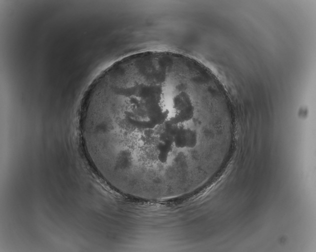 X0000097971263200803241226