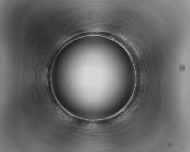 X0000097971265200803241226
