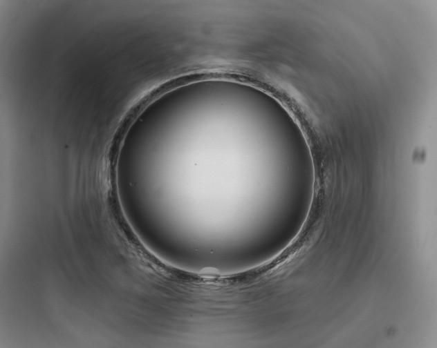 X0000097971267200803241226