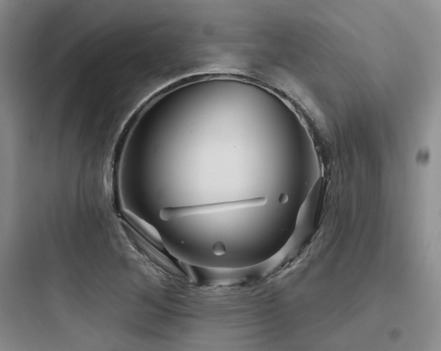 X0000097971268200803241226