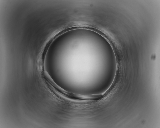 X0000097971269200803241226
