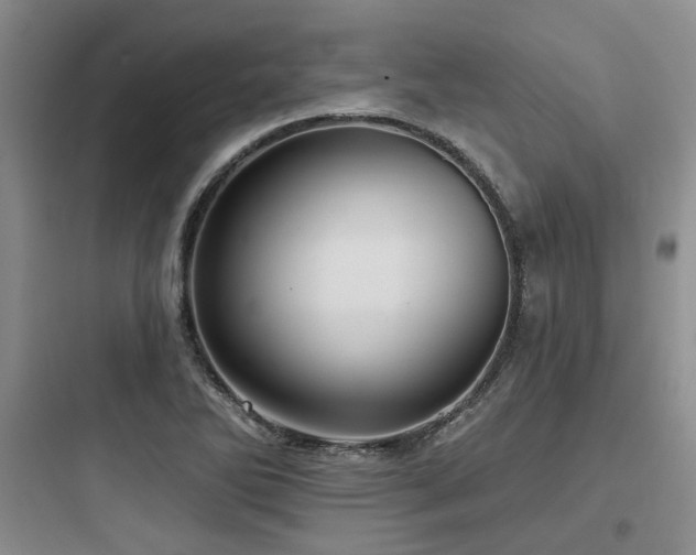 X0000097971270200803241226