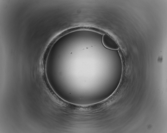 X0000097971271200803241226