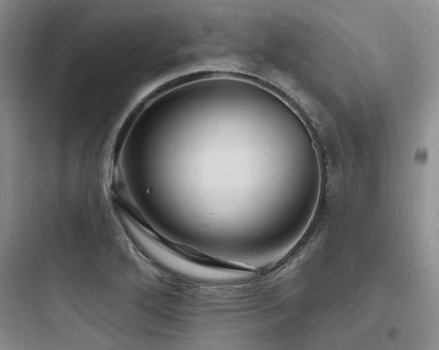 X0000097971272200803241226