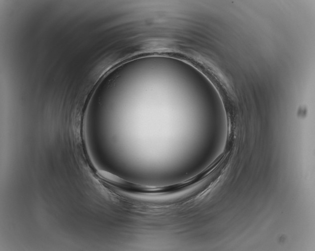 X0000097971273200803241226