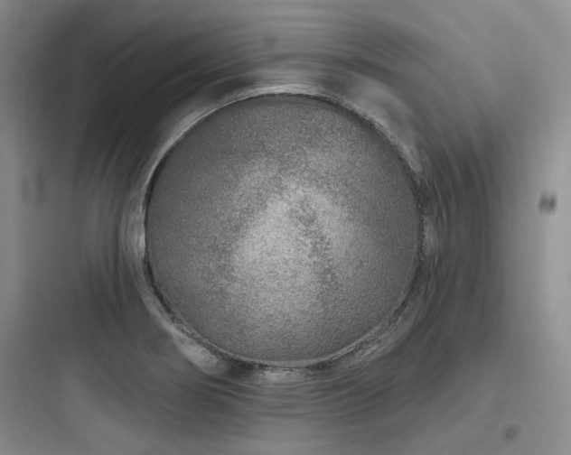 X0000097971274200803241226
