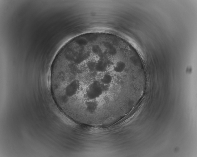 X0000097971275200803241226