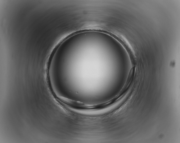 X0000097971277200803241226