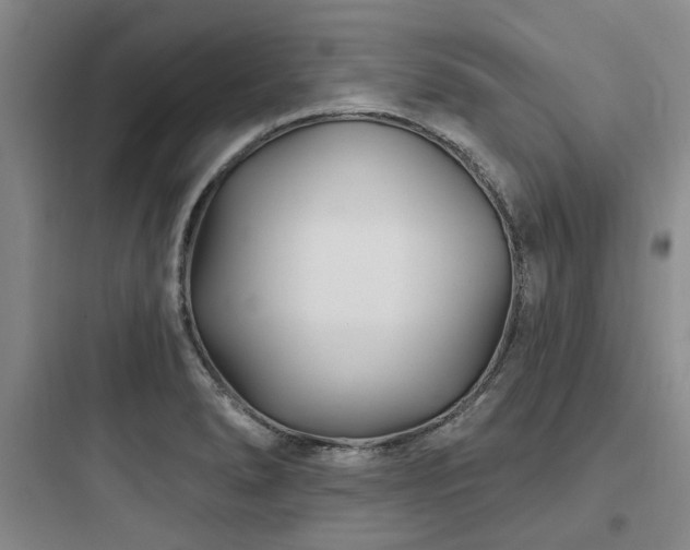X0000097971278200803241226