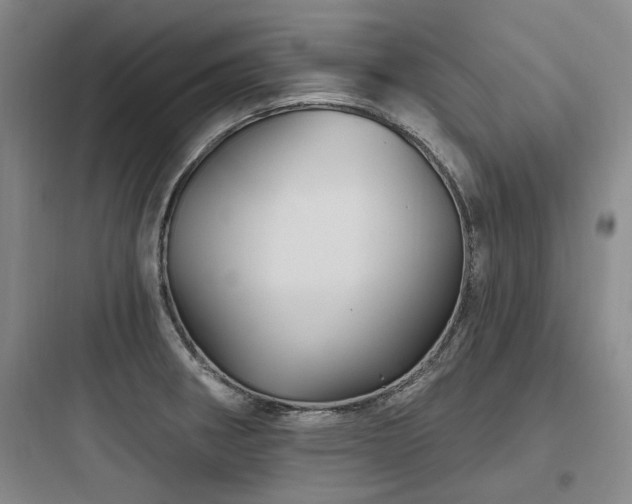 X0000097971282200803241226