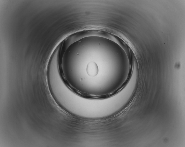 X0000097971283200803241226