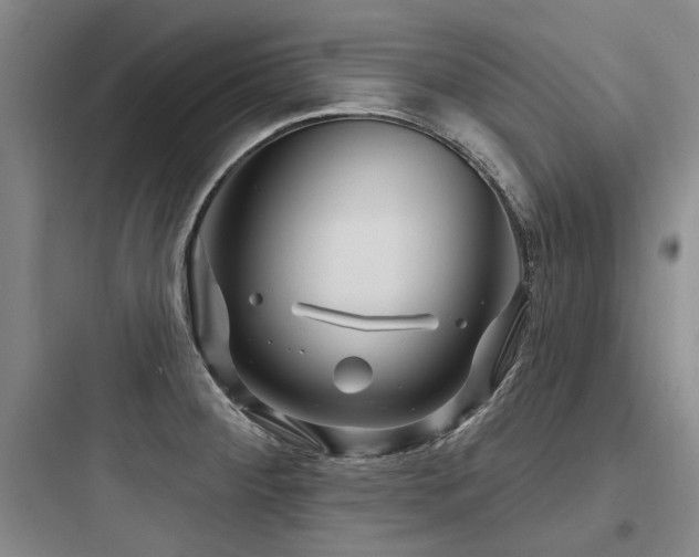 X0000097971284200803241226
