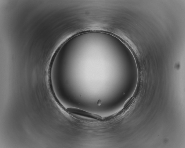 X0000097971285200803241226
