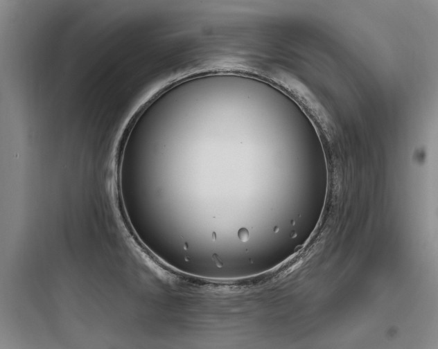 X0000097971286200803241226