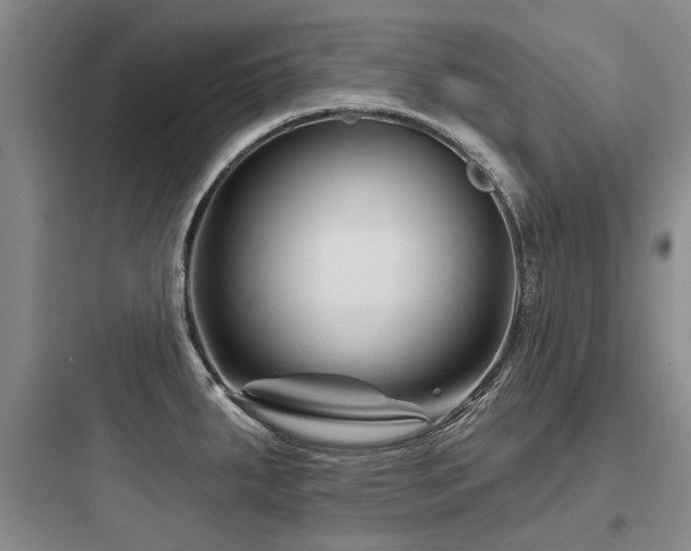 X0000097971287200803241226