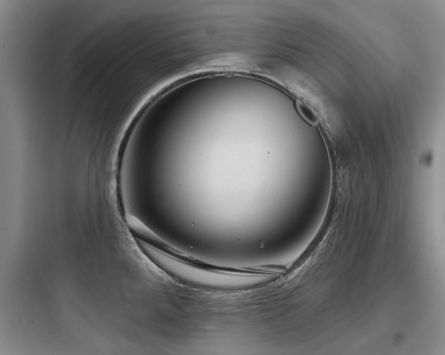 X0000097971288200803241226