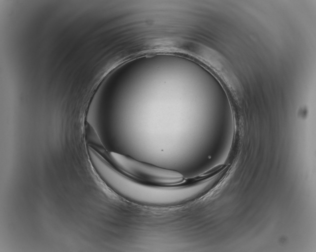 X0000097971289200803241225