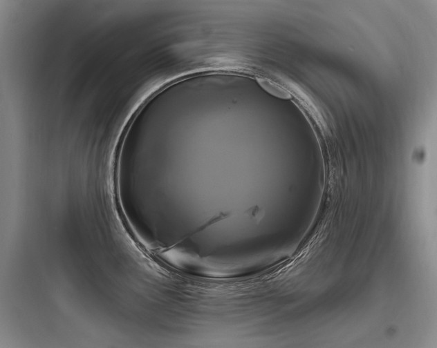 X0000097971291200803241225