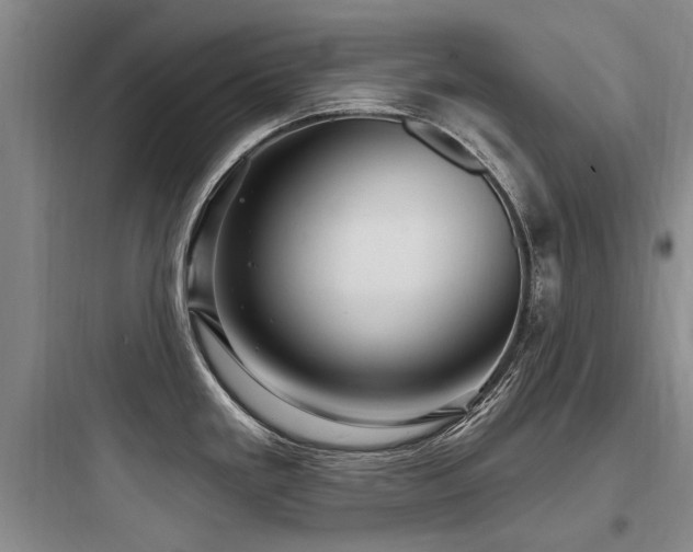 X0000097971293200803241225