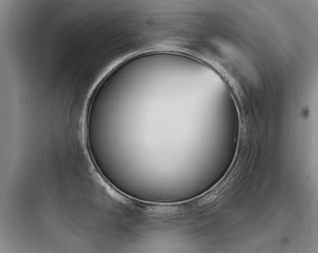 X0000097971294200803241225