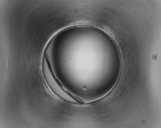 X0000097971296200803241225