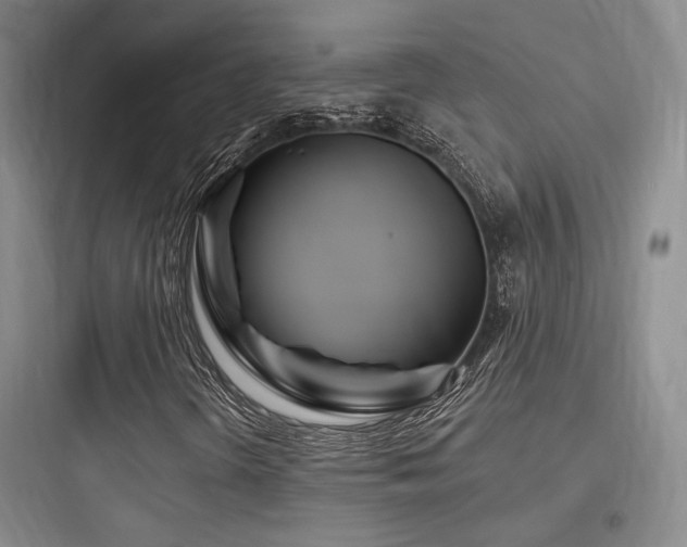 X0000097971298200803241225