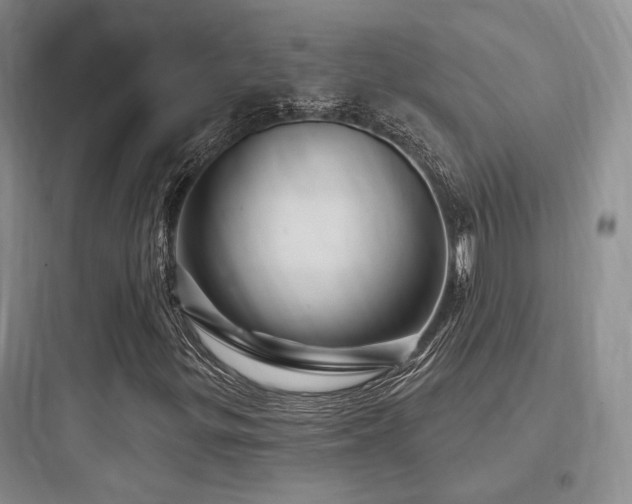 X0000097971299200803241225